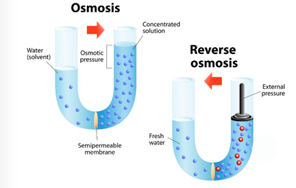 reverse osmosis water purifiers